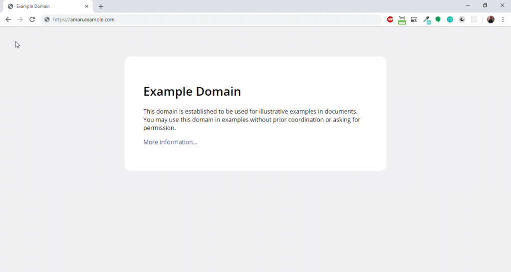 How to Setup dynamic sub domain for your website